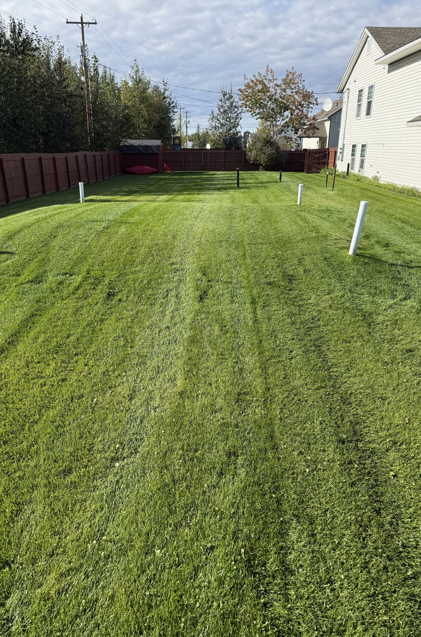 new black window structure